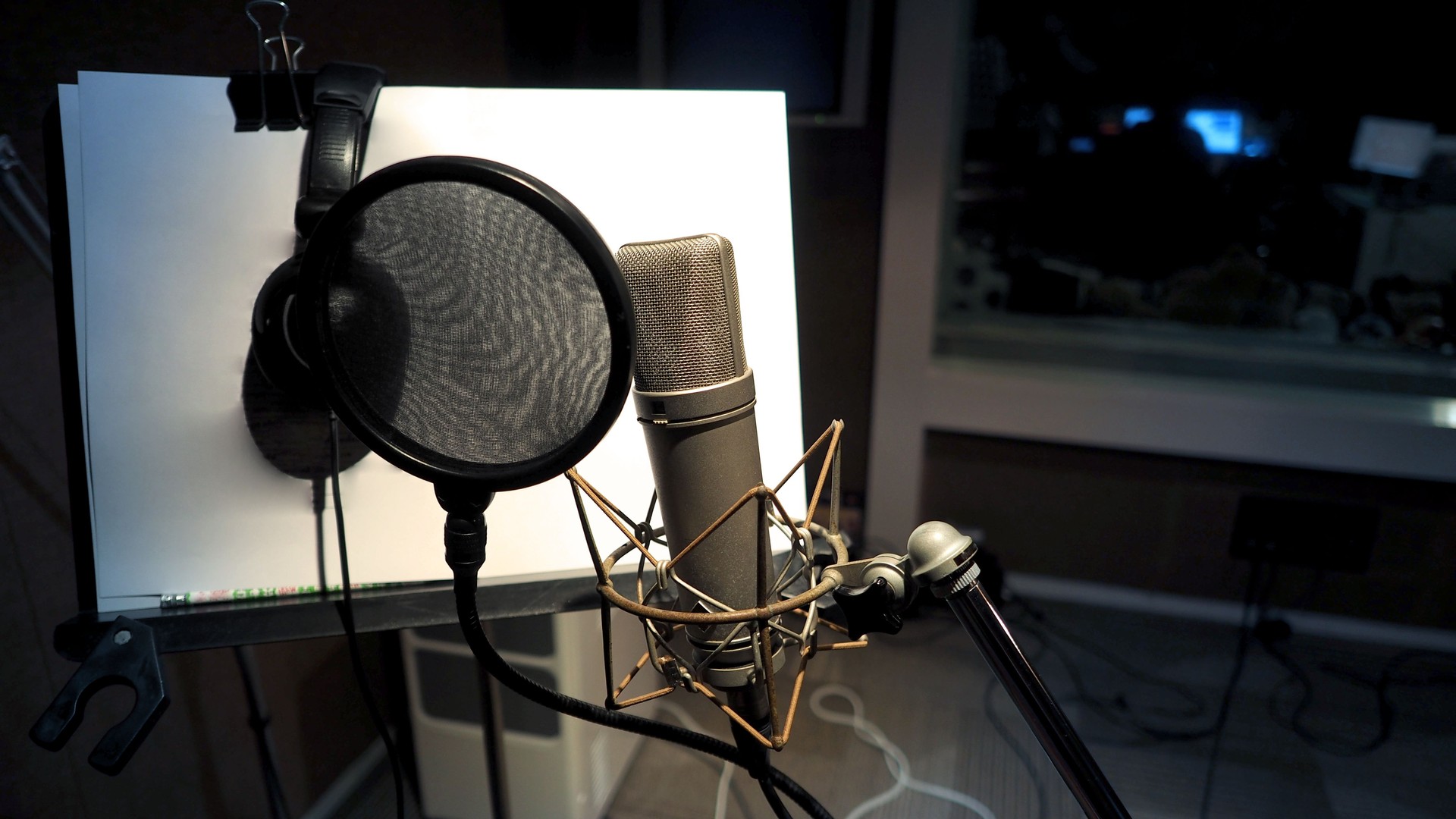 Microphone with pop filter and shock mount anti-vibration